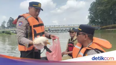 20 Ton Pestisida Terbakar Cemari Sungai Cisadane di Tangerang