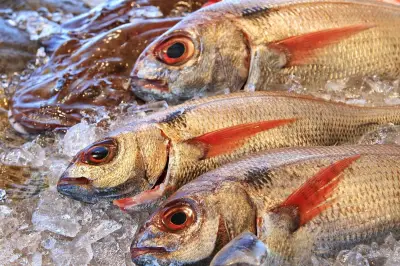 7 Cara Efektif Hilangkan Bau Tanah pada Ikan Air Tawar untuk Masakan Lezat