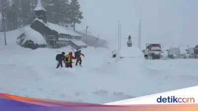 8 Pemain Ski Tewas Diterjang Longsor Salju di California, 1 Masih Dicari