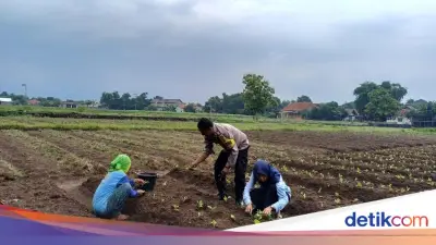Aiptu Suwendi, Bhabinkamtibmas Penggerak Kemandirian Pangan di Cirebon