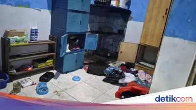 Balita Surabaya Dianiaya Paman-Bibi: Diberi Makanan Kucing hingga Disuruh Makan Pasir