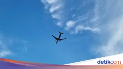 Jenazah Pilot dan Kopilot Smart Air Berhasil Dievakuasi dari Hutan Boven Digoel