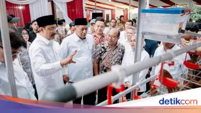 Kemensos Salurkan Bantuan Ayam Petelur untuk 70 KPM di Purworejo, Dukung Kemandirian Ekonomi