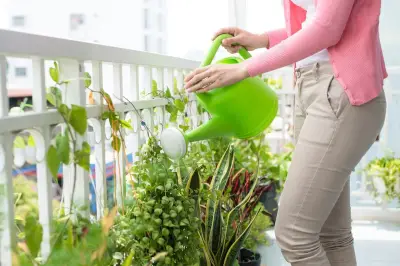 Kesalahan Umum Perawatan Tanaman Hias dan Cara Menghindarinya untuk Pemula