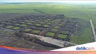 KKP Mulai Bangun Kawasan Tambak Udang Terintegrasi di Waingapu, Sumba Timur