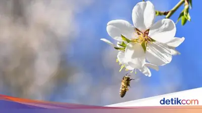 Laporan IPBES: Model Bisnis Eksploitatif Ancam Keanekaragaman Hayati dan Kemakmuran