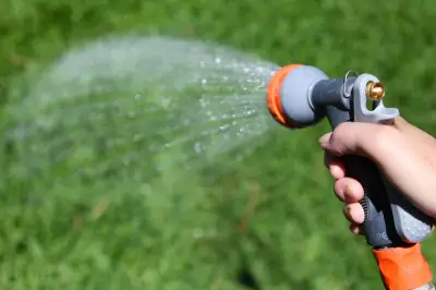 Menyiram Halaman Saat Panas: Efektifkah untuk Mendinginkan Rumah?