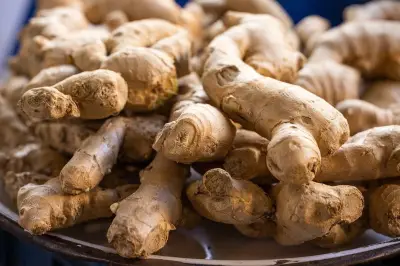 Panduan Lengkap Menanam Jahe di Rumah, Panen dalam 8-10 Bulan