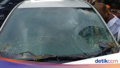 Pohon Tumbang di Jalan TB Simatupang Jaksel, Timpa Mobil Honda HRV hingga Kaca Pecah