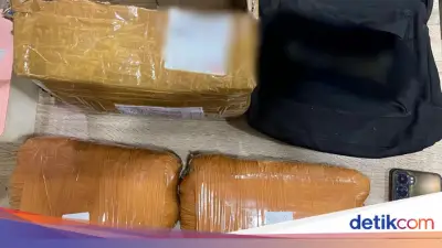 Polda Metro Bongkar Pengiriman 2 Kg Ganja Via Ekspedisi di Depok