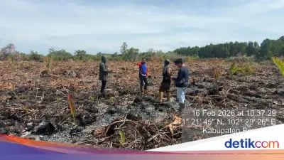 Polres Bengkalis Tangkap Tersangka Pembakar Lahan 3 Hektare dengan Alasan Bunuh Sarang Tawon
