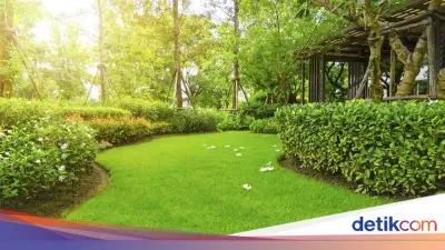 Sejoli Diduga Mesum di Taman Ciracas, Satpol PP Imbau Warga Jaga Ruang Publik