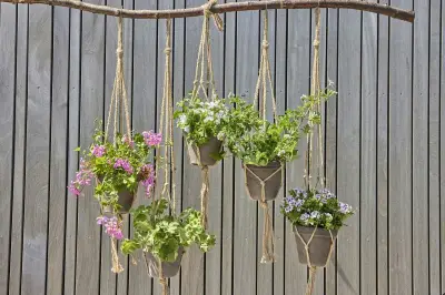 Solusi Berkebun di Lahan Sempit: Panen Sayuran dari Pot Gantung