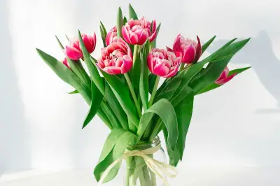 Tips Merawat Bunga Potong Agar Tahan Lebih Lama di Vas