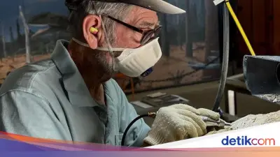 Warga Dunia Bersatu Bersihkan Fosil Ichthyosaur 100 Juta Tahun di Australia