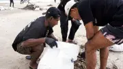 Ditjen Polpum dan Soul of Melanesian Gelar Aksi Bersih Pantai di Bali