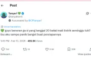 Hoaks Mati Listrik 7 Hari di Indonesia Viral, Picu Kepanikan Warganet