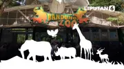 Kemenhut Cabut Izin Pengelola Bandung Zoo, Satwa 711 Individu Dilindungi Diselamatkan