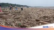 Pemerintah Dalami Dugaan Penebangan Hutan Picu Banjir Bandang di Guci Tegal