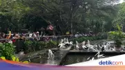 Ragunan Tetap Buka Selama Ramadan 2026: Ini Jadwal dan Harga Tiket Terbaru