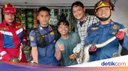 Sanca Raksasa Bersembunyi di Kolong Freezer Es Krim Kagetkan Karyawan di Bogor