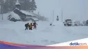 Sembilan Pemain Ski Hilang Diterjang Longsor Salju di California