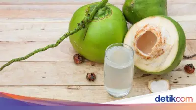9 SPPG di Gresik Ditutup Sementara Akibat Sajikan Kelapa Utuh dalam Menu MBG