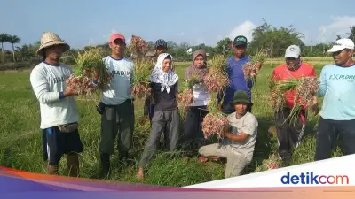 Aiptu Ngurah Rai Bina Petani di Jembrana, Diusulkan untuk Hoegeng Awards 2026