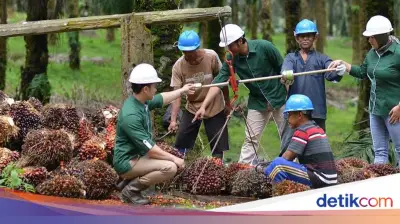 Astra Agro Lestari Tegaskan Komitmen pada Pembangunan Berkelanjutan di Kalimantan Tengah