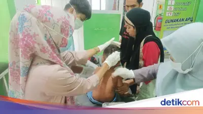 Balita 3 Tahun di Polewali Mandar Diserang Dua Anjing Liar Saat Bermain