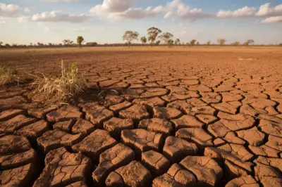 BMKG: Musim Kemarau 2026 Diprediksi Lebih Awal, Pengaruh La Niña Berakhir