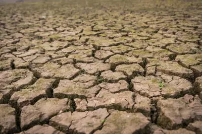 BMKG Prediksi Musim Kemarau 2026 Lebih Awal, Dipengaruhi Transisi La Niña ke El Niño