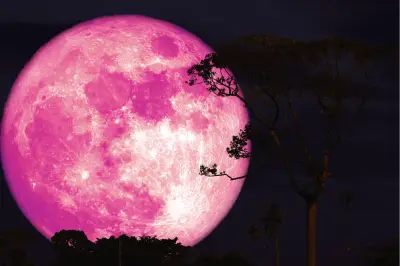 Fenomena Pink Moon Akan Hiasi Langit Malam 1-3 April 2026