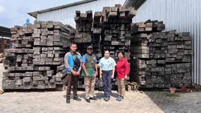 Gakkum Kehutanan Tangkap Dua Tersangka Pengedar Kayu Eboni Ilegal di Maluku dan Papua