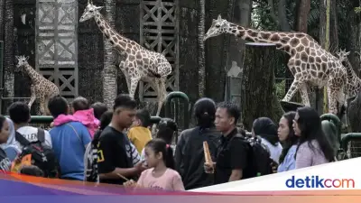 Hari Kedua Lebaran, Ragunan hingga Monas Buka untuk Wisatawan di Jakarta