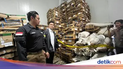 Hasil Uji Lab Bareskrim: Daging Impor Kedaluwarsa Tak Layak Konsumsi