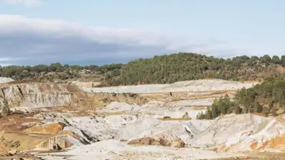 Inovasi Dosen IPB Masuk 117 Inovasi Indonesia 2025 untuk Hijaukan Lahan Bekas Tambang Kapur