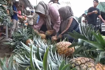 Jajanan Khas Lebaran 2026 Laris Manis, dari Timus hingga Nanas di Berbagai Daerah