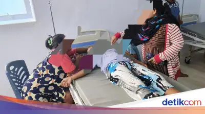 Kasus Keracunan Daging Anjing di Mamuju, DPR Dorong Larangan Konsumsi Hewan Non-Pangan