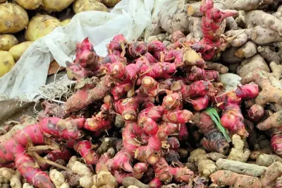 Kayu Secang dan Jahe Merah Disebut Ampuh Turunkan Risiko Penyakit Jantung