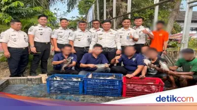 Lapas Banjarmasin Panen 150 Kg Ikan Patin, Wujudkan Ketahanan Pangan dan Kemandirian Napi