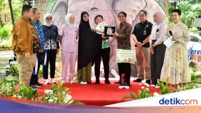 Menhut Luncurkan Program Ramah Hewan, Kucing Jalanan Disteril dan Divaksin