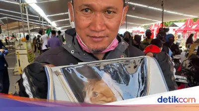 Pasangan Suami Istri Mudik Motor dari Jakbar ke Lampung Bawa 2 Kucing Kesayangan