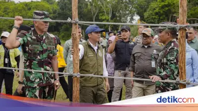 Pembangunan Pagar TN Way Kambas 138 Km Dimulai Atas Instruksi Presiden Prabowo