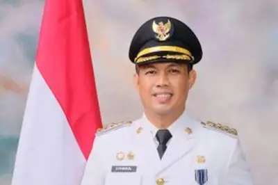 Profil Pendidikan Syamsul Auliya Rachman, Tersangka OTT KPK: Alumnus IPDN dan Doktor