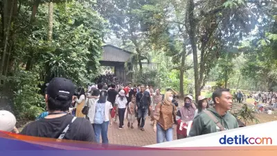 Ragunan Dibanjiri 60 Ribu Pengunjung di H+2 Lebaran, Diprediksi Tembus 100 Ribu