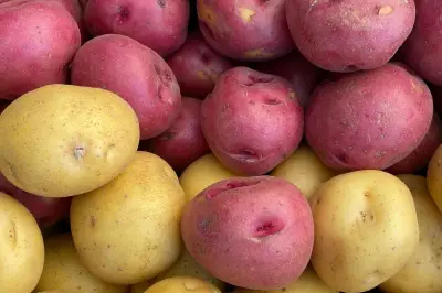 Rekomendasi Pangan Lokal untuk Menu Sahur dan Buka Puasa yang Lebih Sehat