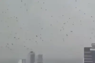 Ribuan Gagak Gelapkan Langit Tel Aviv, Warganet Israel Kaitkan dengan Pertanda Buruk