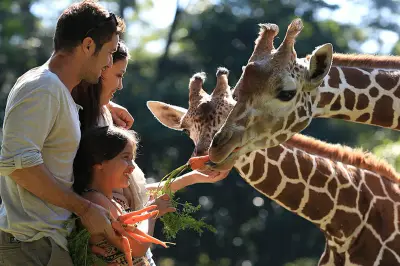 Taman Safari Bogor Ubah Jam Operasional dan Harga Tiket untuk Libur Lebaran 2026