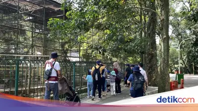 Warga Depok dan Jakarta Curi Start Liburan Lebaran ke Ragunan, Hindari Keramaian